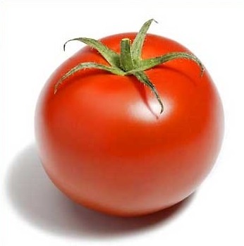 POMIDOR
