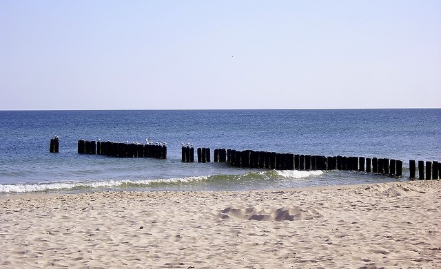 sea