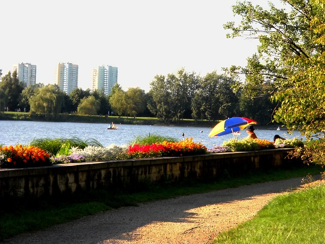 Wpis paskowana