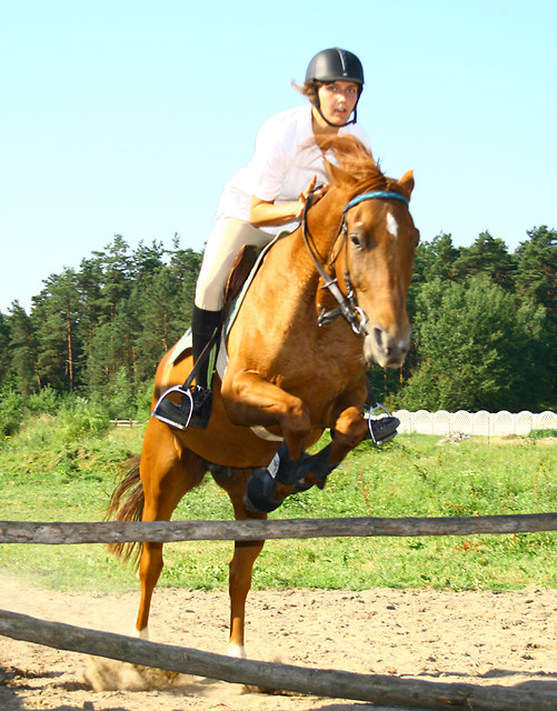 Wpis plemniczka