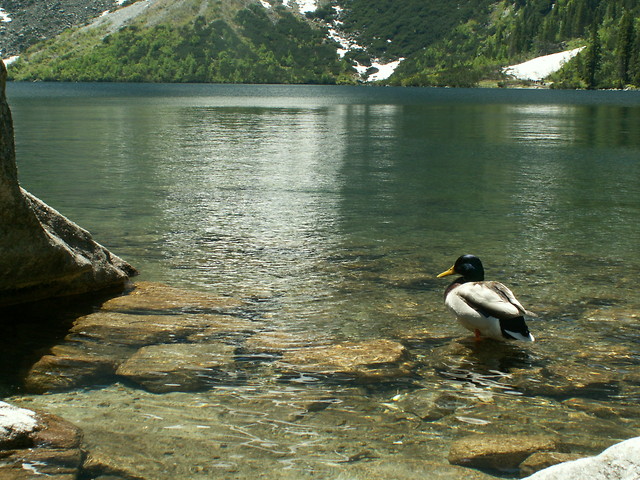 Morskie Oko
