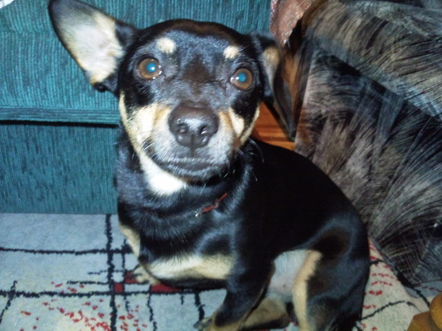 Maxio!!!!!!!