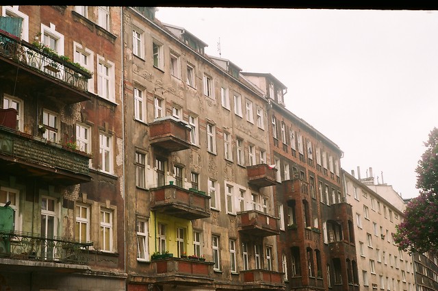 [eksperyment zorka]