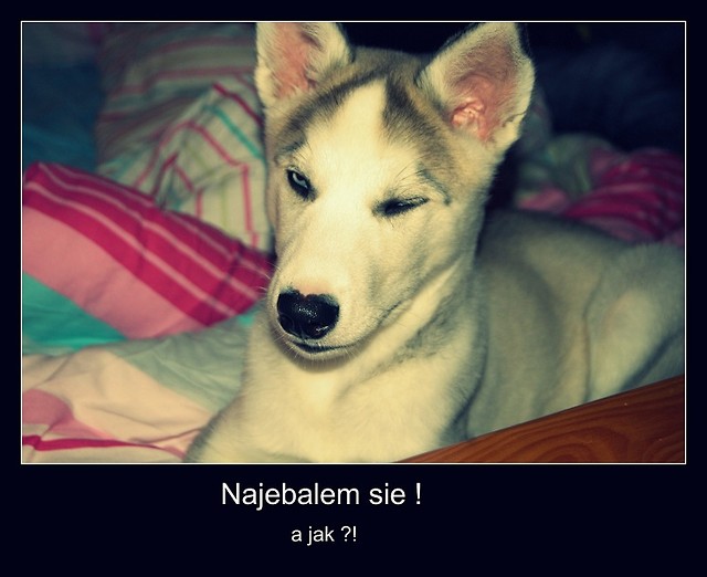 Wpis starymaszproblem