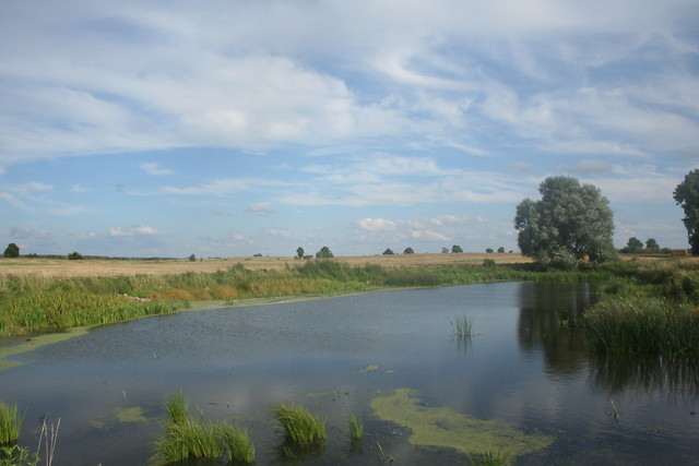 Wpis zelkakwasna