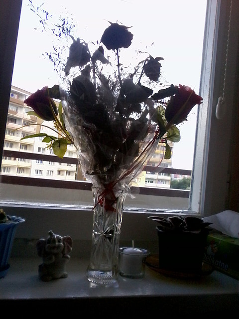 Big love 