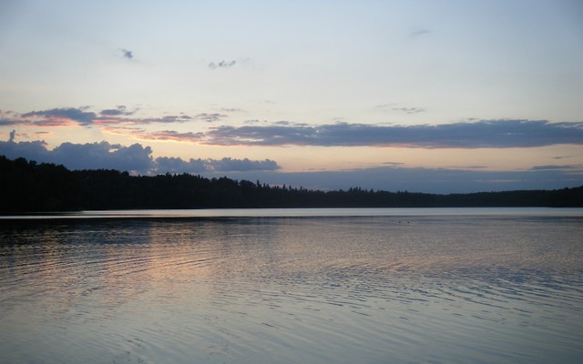 Wpis zelkakwasna