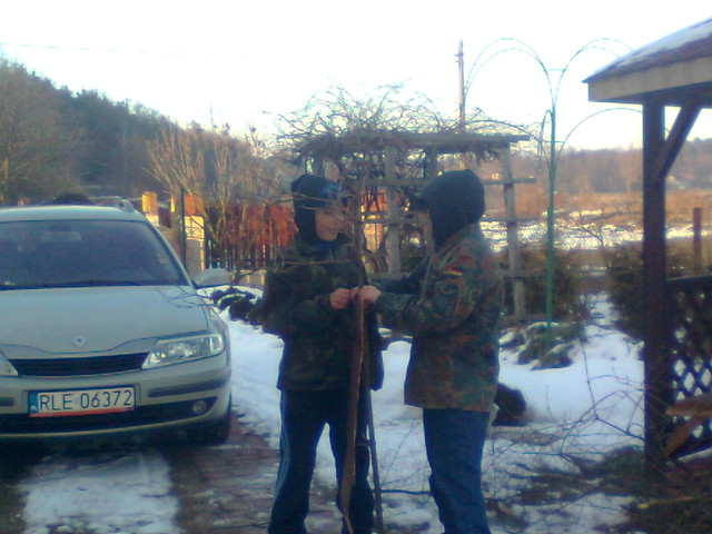 robimy krzaka na przedstawienie