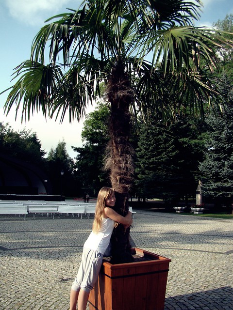 Wpis pauuuuuulinkax3