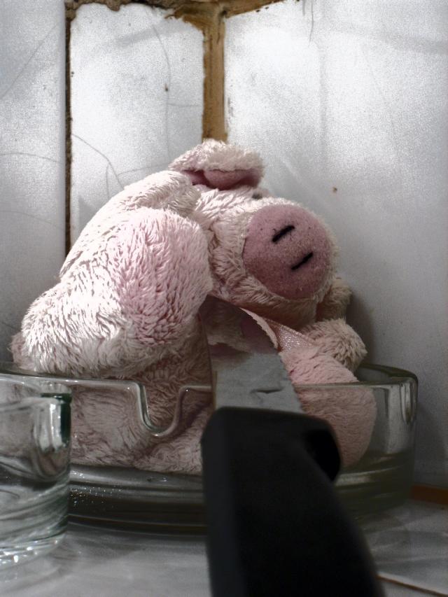 Wpis theworldpicture