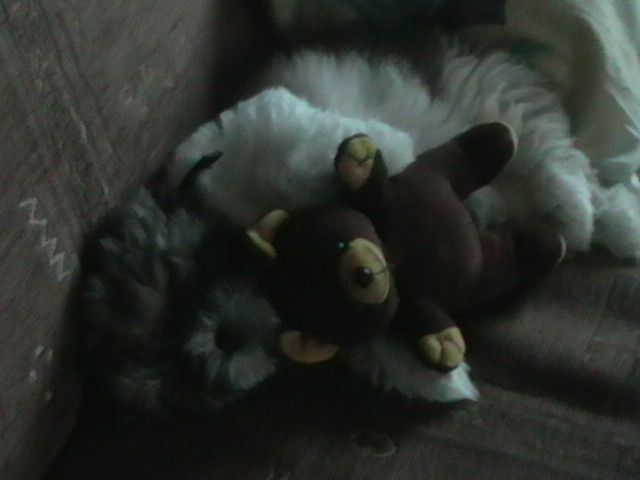 Bobii:**