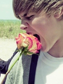 Wpis bieberek4ever