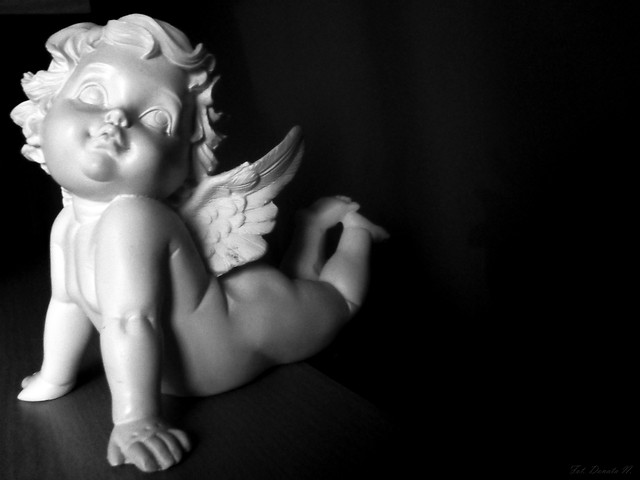 Wpis donataphotography