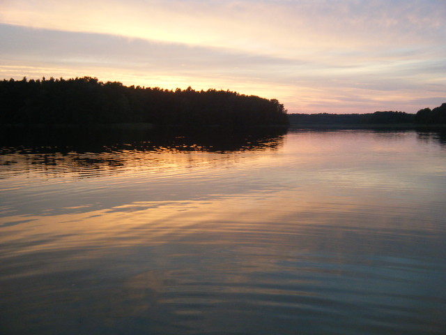 Wpis zelkakwasna