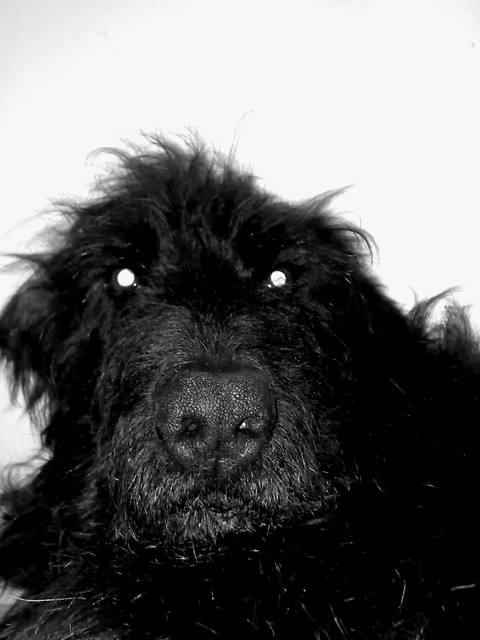 Bory :)