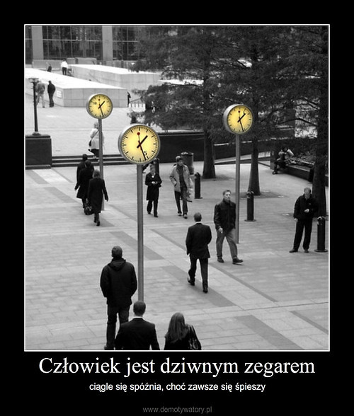 Wpis posmakujustame