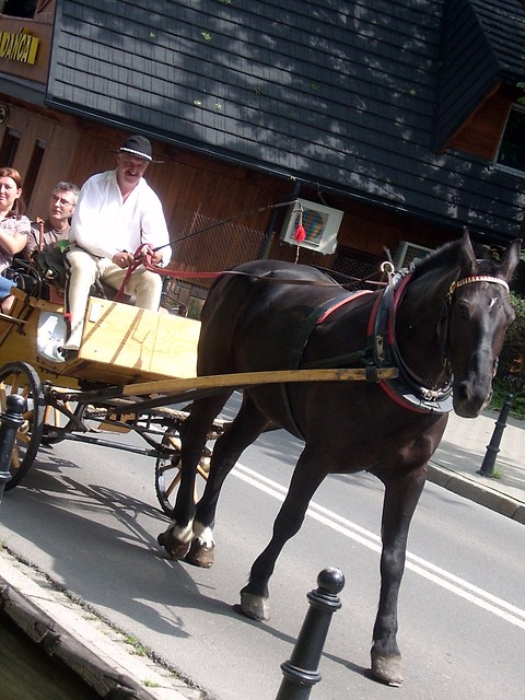 Zakopane 2010