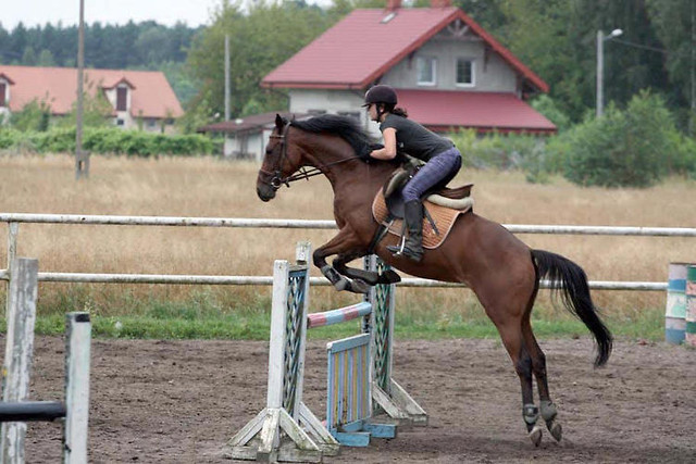 Wpis doska166