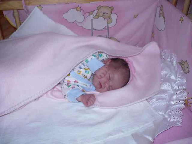 Wpis patunia950402