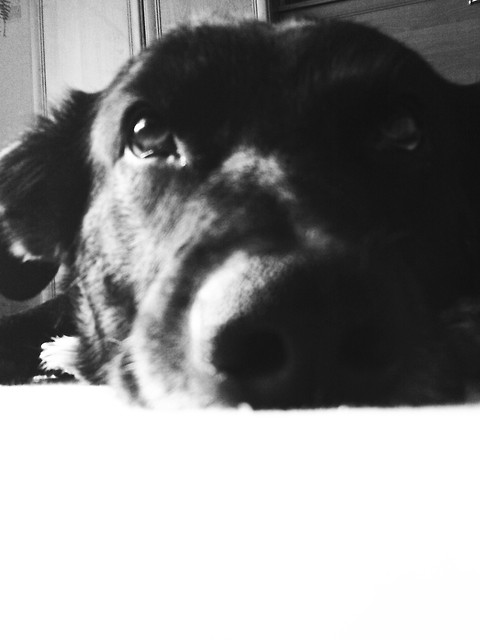 ryedh