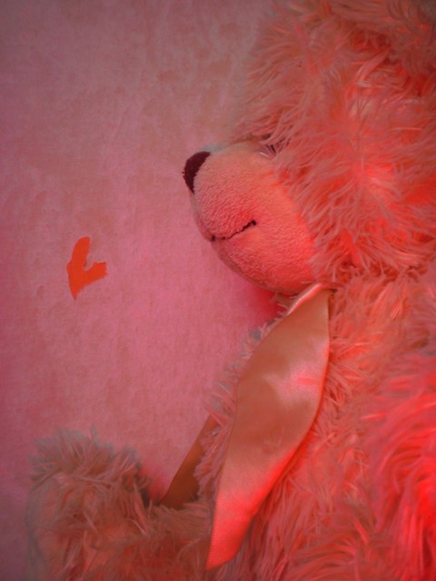 Wpis pinkkoorange