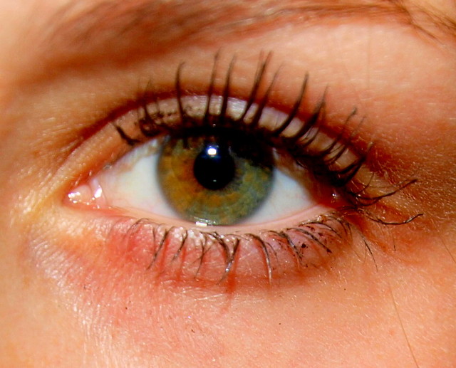eye