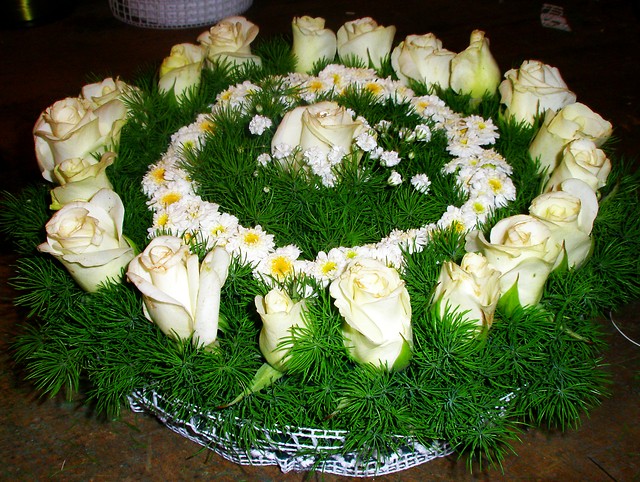 Wpis jolantapinocy