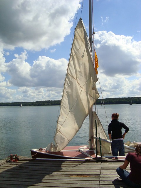                        Niesulice