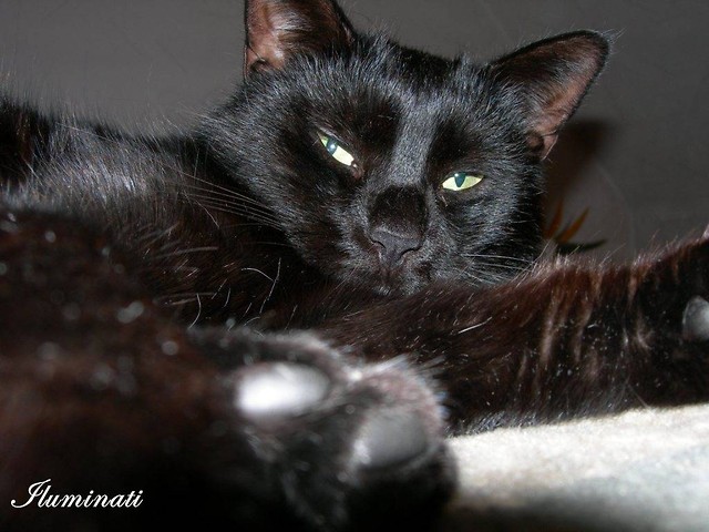 Luna