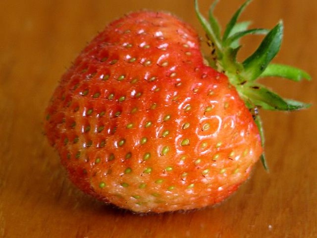 Wpis agafrusciante