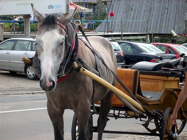 zakopane'10