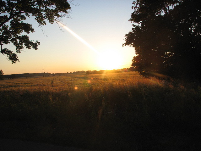 wild sunset