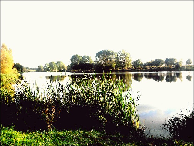 przesilenie