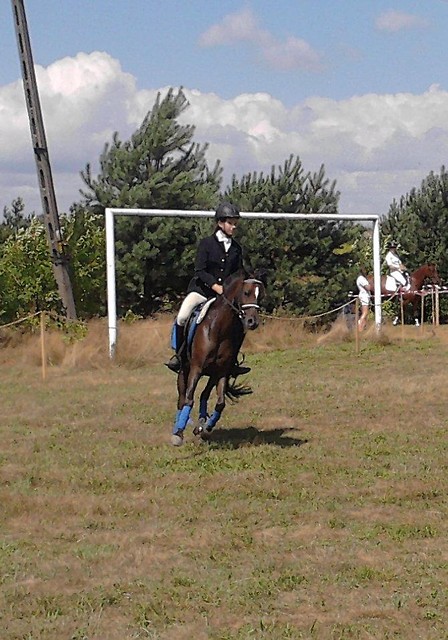 Wpis galopujonca