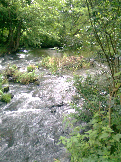 Wpis wesolyludek