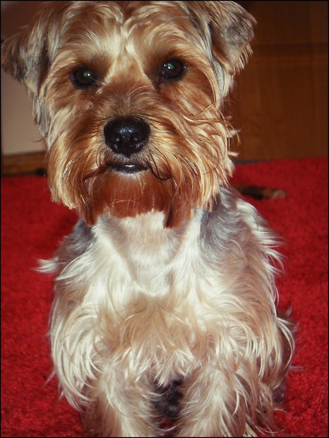 maxiu ;)