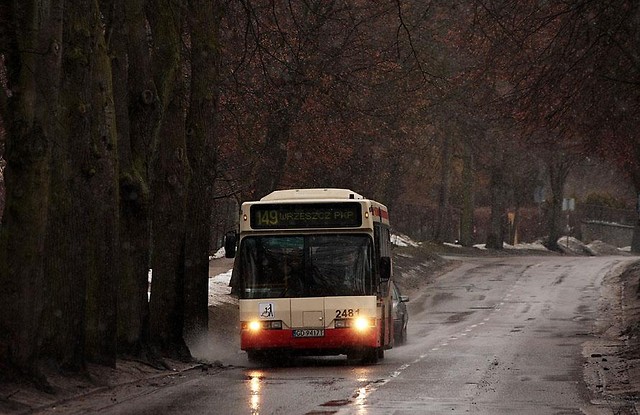 	Neoplan N4007 #2481