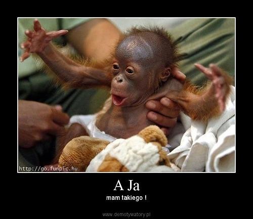 I wszystko jasne! ;-)