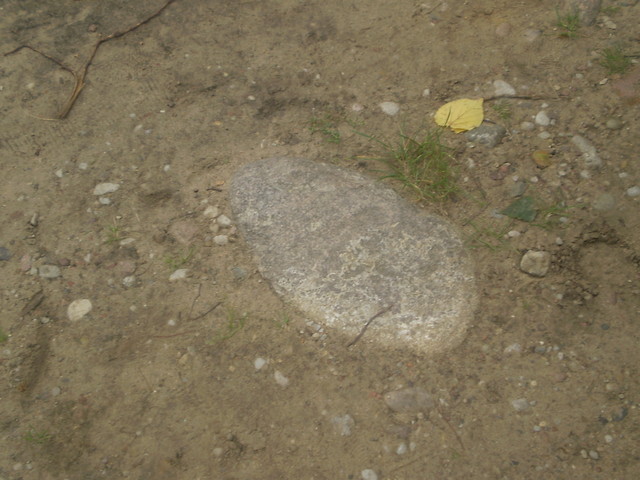 Kamie
