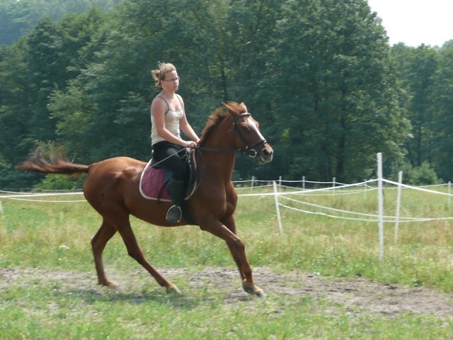 Warka ;)