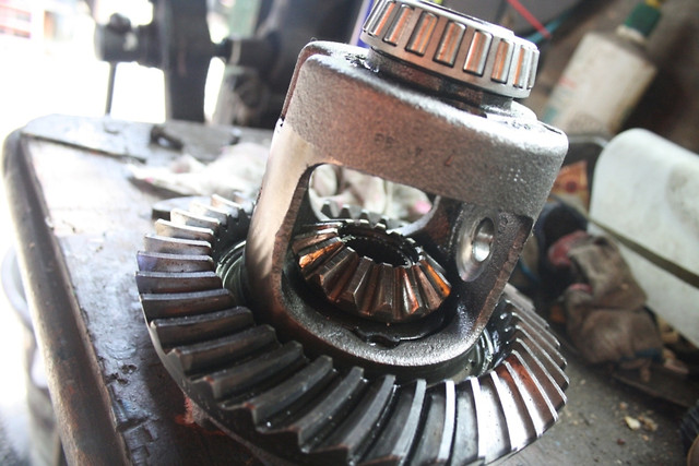 mechanizm rnicowy 