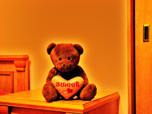 teddy 