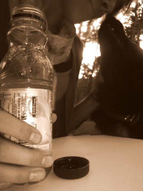 +Junior [x