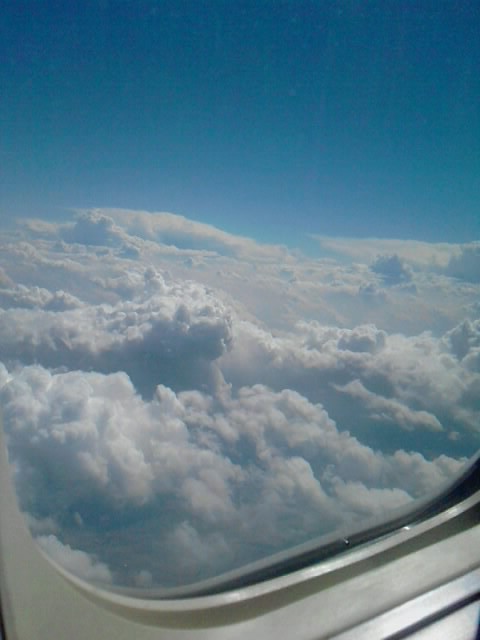 plane . ; 3