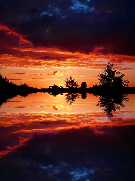 reflection