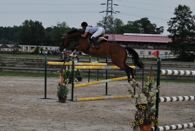 Wpis grasso20