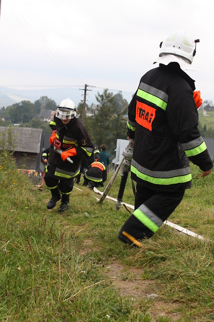 Wpis olloloska