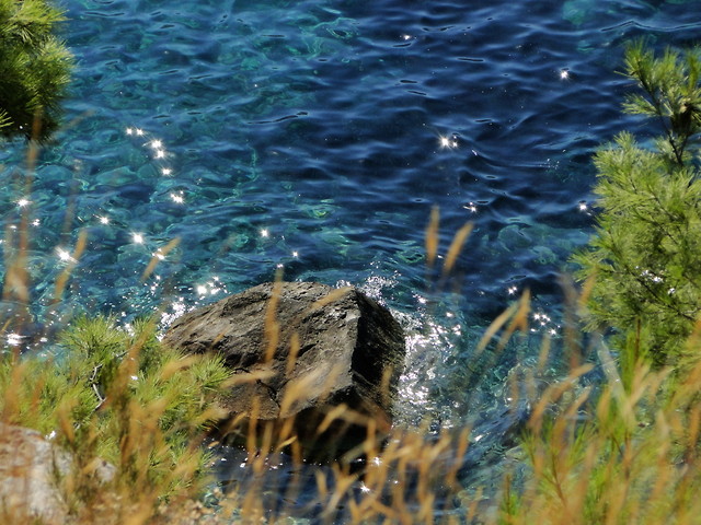 Vis 2010