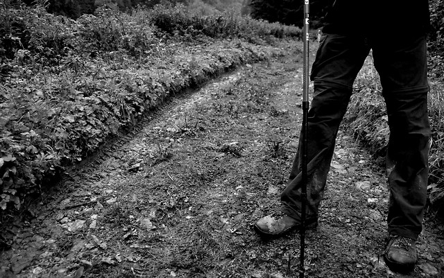 biay dunajec 2010 |