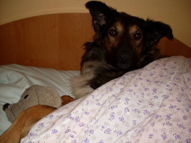 HaaaaarolD ;D
